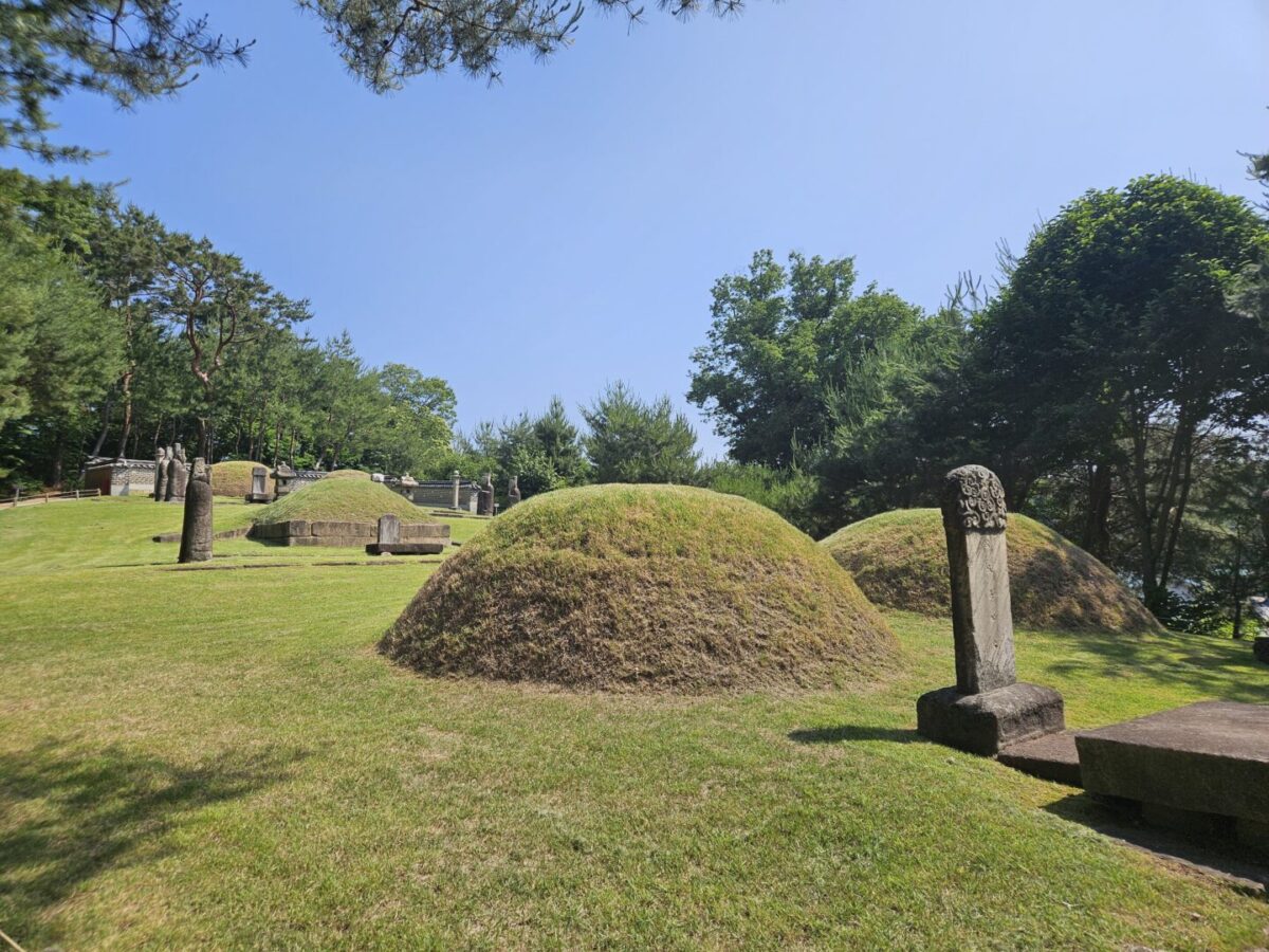 Wide view of the tomb complex of Yeonsan-gun in Dobong-gu, Seoul, showing burial mounds, stone statues, and surrounding pine forest