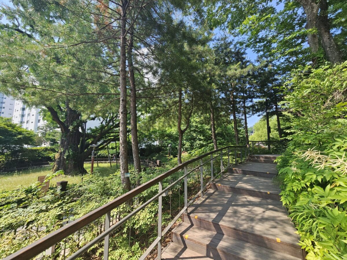 A wooden boardwalk path leading to the tomb of Yeonsan-gun in Dobong-gu, Seoul, with apartment buildings visible through the trees