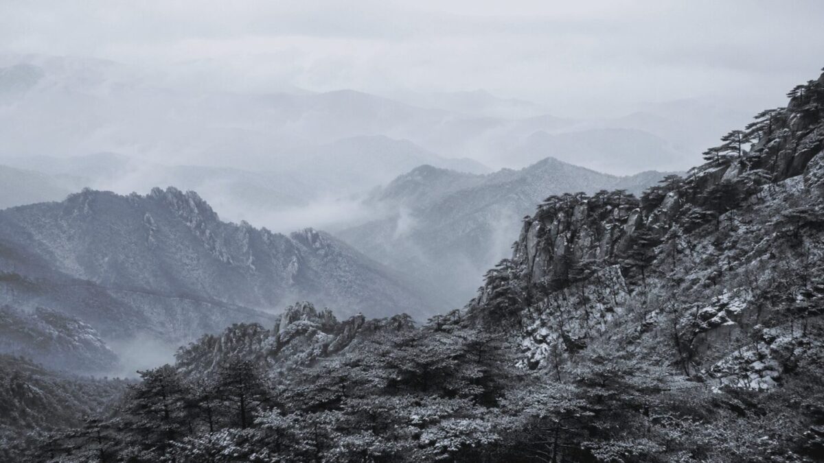 An empty Korean mountain forest in winter, the landscape left behind after the Korean tiger extinction